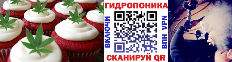 Cannafood марихуана  где найти   OMG   Жердевка 