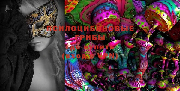 ешки Медвежьегорск